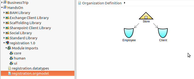 organization.png